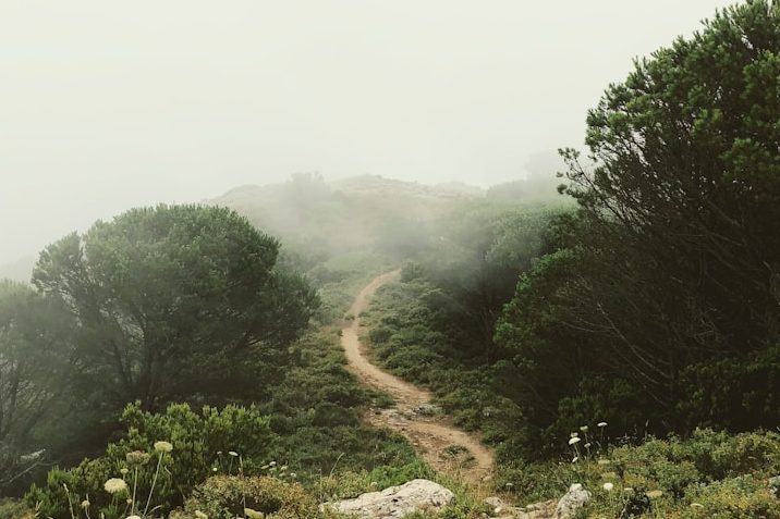 Weg über einen Hügel als Zeichen für emotionale Herausforderungen